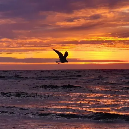 Gruental In Ferienhaus *